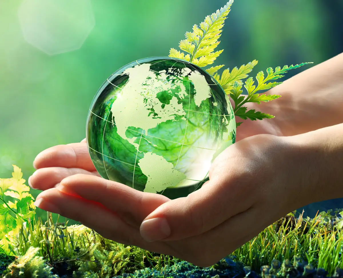 Nos formules écologiques Cap Vert Pro, produits de nettoyage